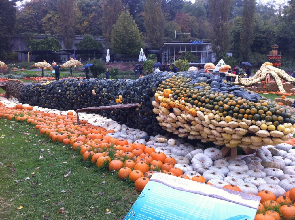 pumpkin festival 1