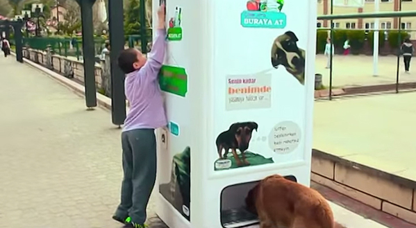 stray-dog-food-vending-machine-recycling-pugedon-4